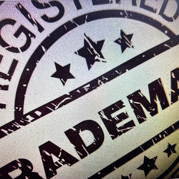 PATRICIA NASH MILAN ITALY-NWT $149.00                           BELT OR SLING ! - Picture 5 of 16